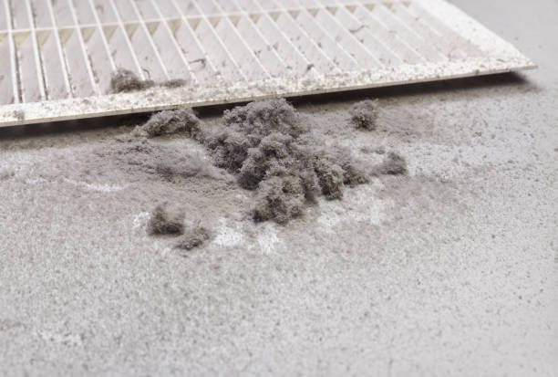 Best HVAC Duct Inspection Services  in Rolling Fork, MS