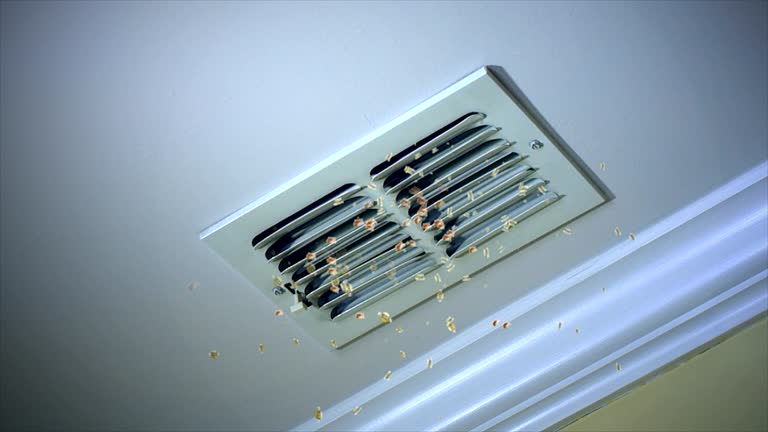 Best Affordable Duct Cleaning Services  in Rolling Fork, MS