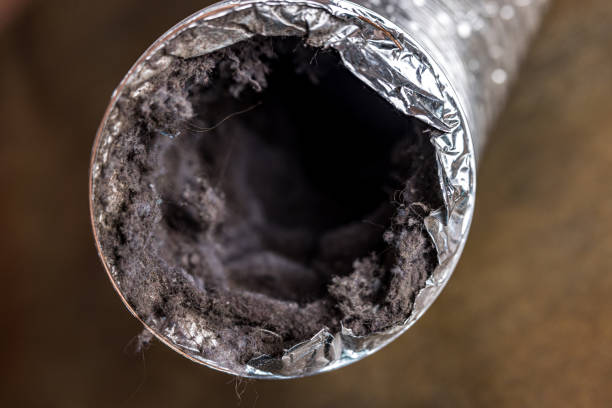 Best Affordable Air Duct Cleaning  in Rolling Fork, MS